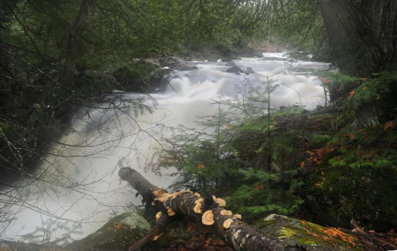portage river.jpg - Portage Brook.... I never knew this set of waterfalls was right off the main road.